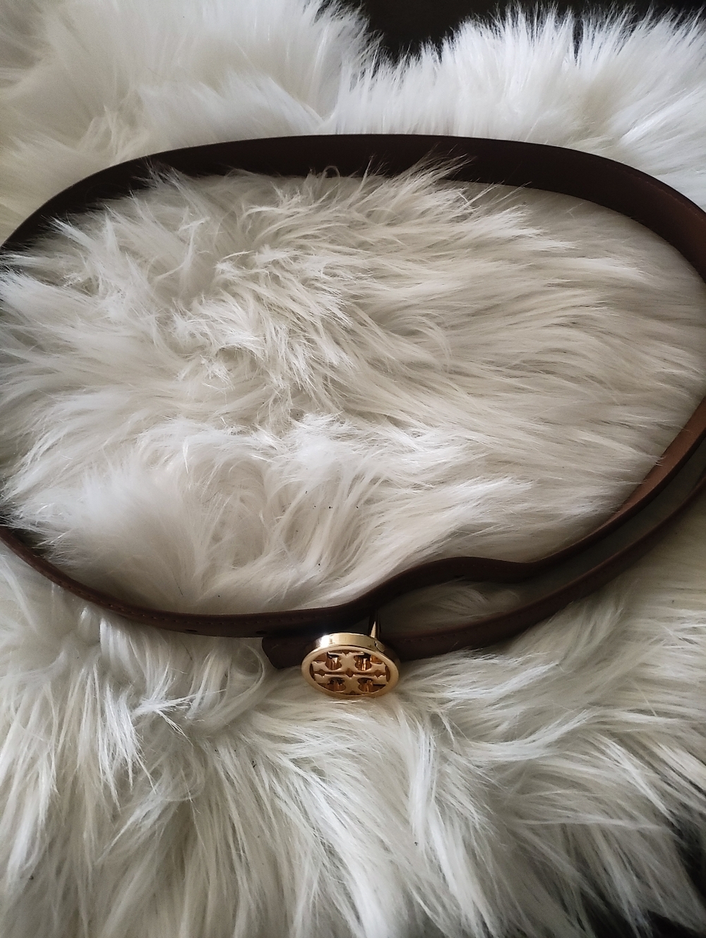 Brown Leather Belt with Gold Logo Accent